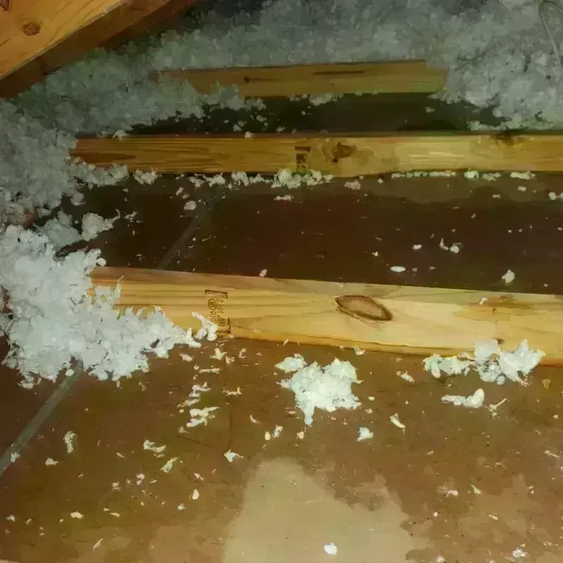 Attic Water Damage in Browning, MT