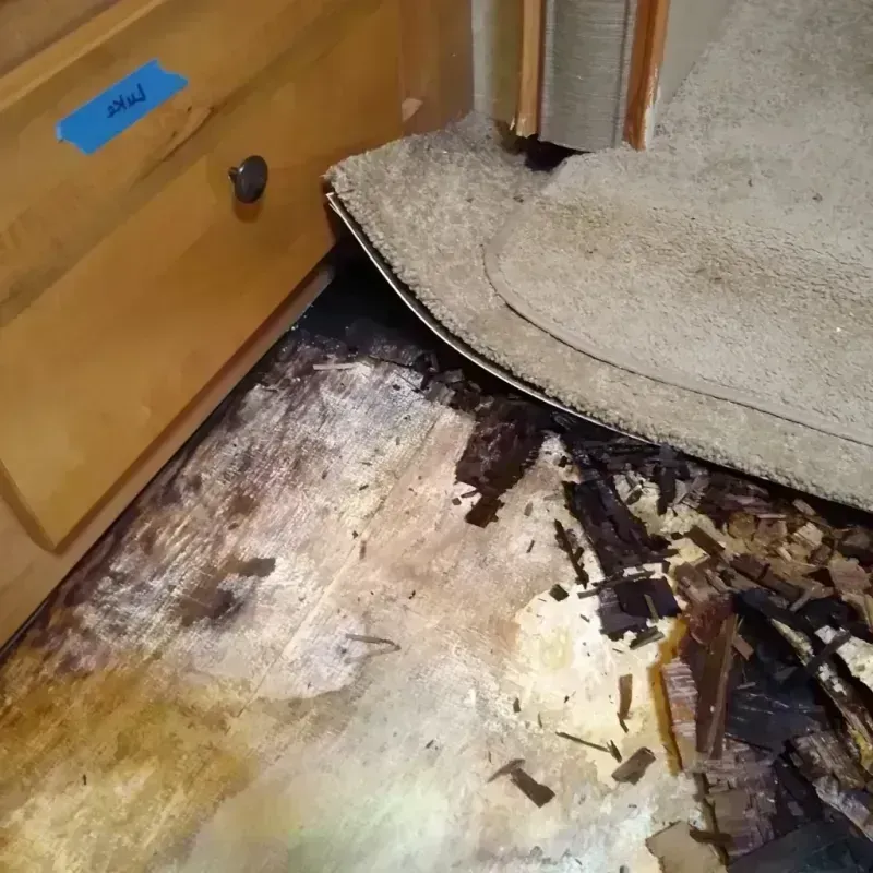 Wood Floor Water Damage in Browning, MT